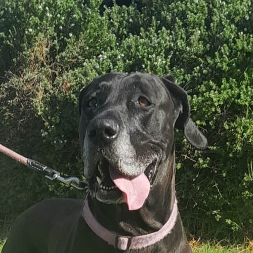 Xena
