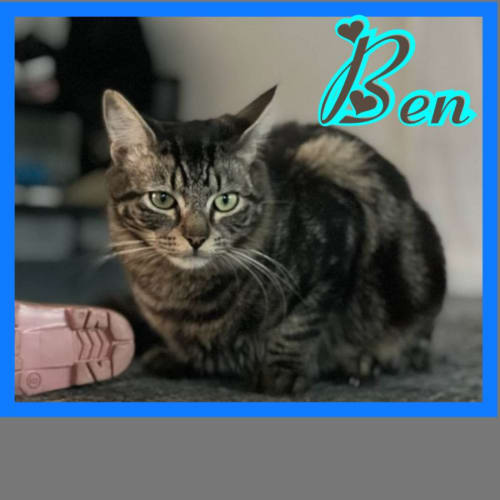 Ben