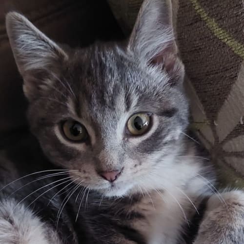 Lucy*Meet me at Nek Hq 3rd June* 