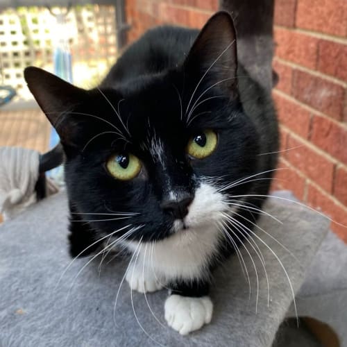 Luna