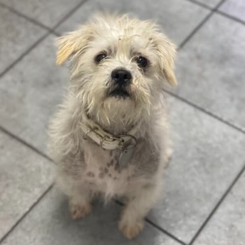 Max