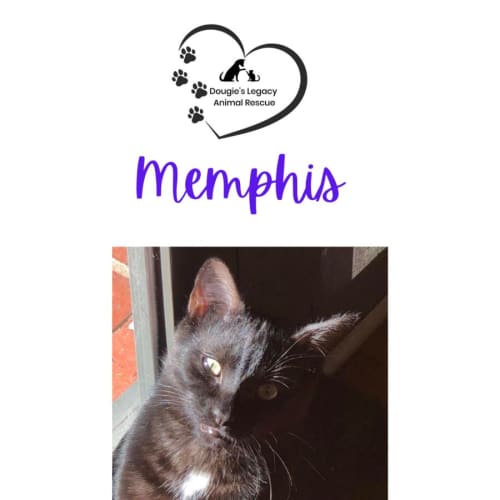 Memphis
