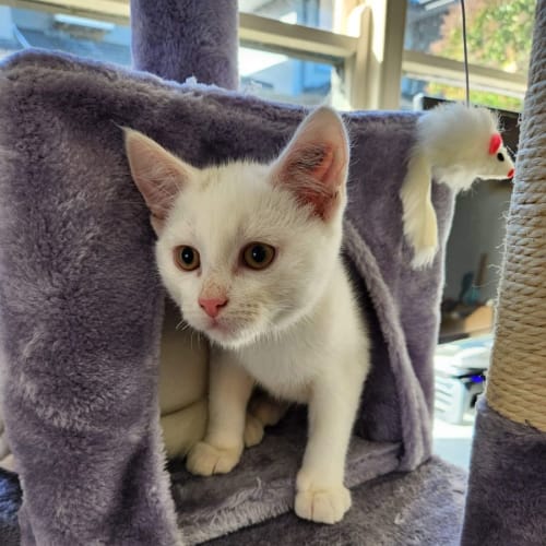 Jon Snow Meet me at Petstock Hastings 18/6/23