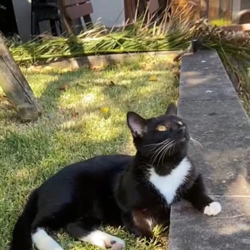 Sebastian