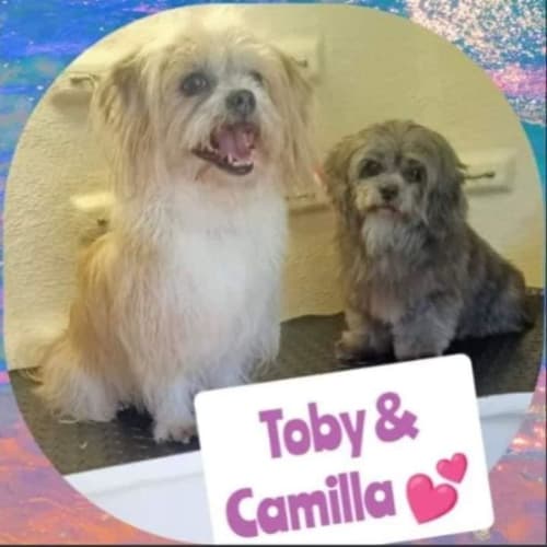 Camila and Toby