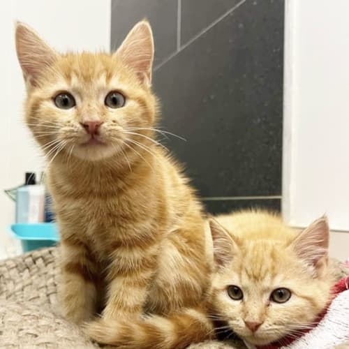 ♥️Rapunzel and Ruby♥️