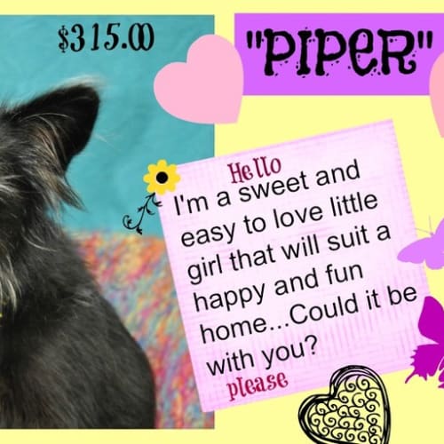 No photo for Pepper