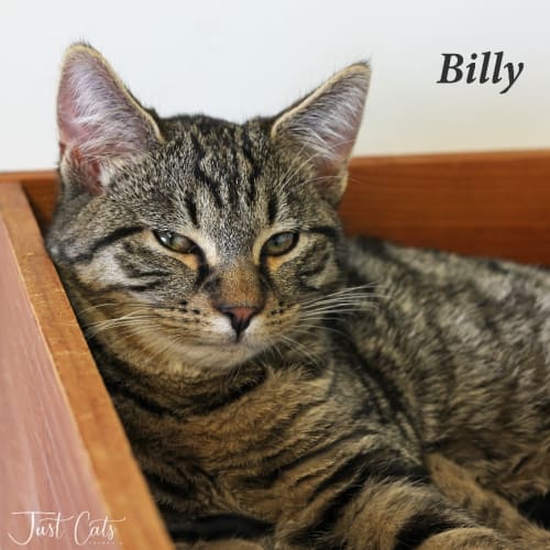 Billy
