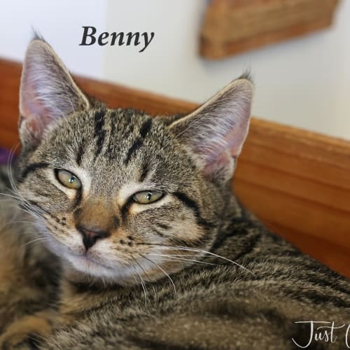 Benny
