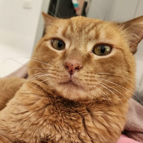 George