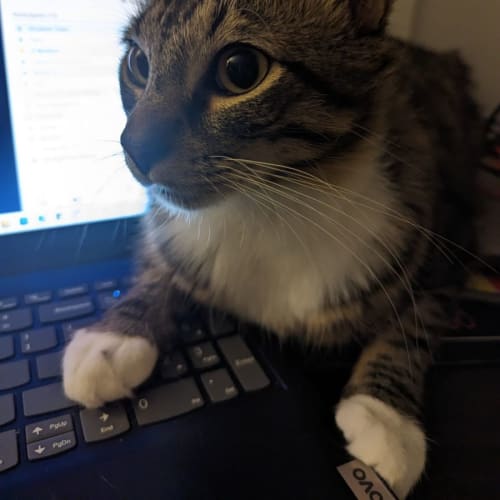 Peanut