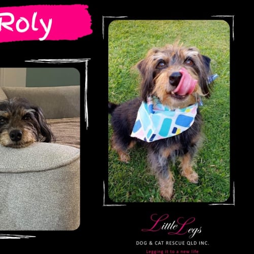 Roly
