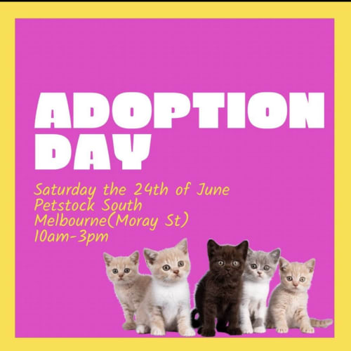 Adoption Day - Sat 24 June