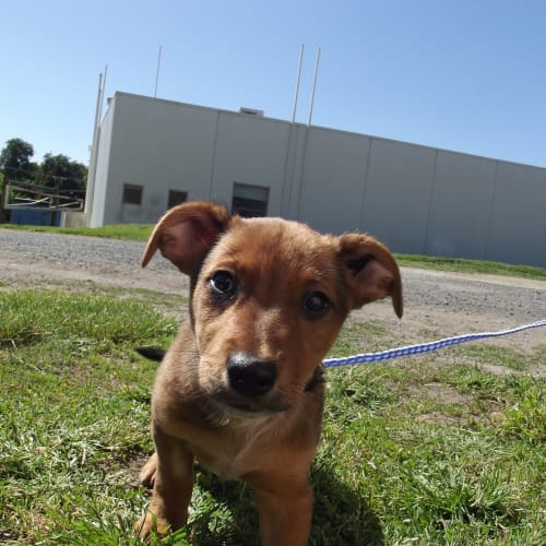 No photo for Jackson