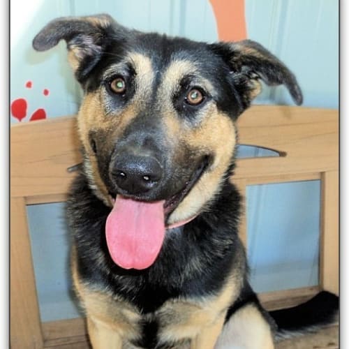 No photo for Destiny