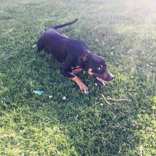 Leroy