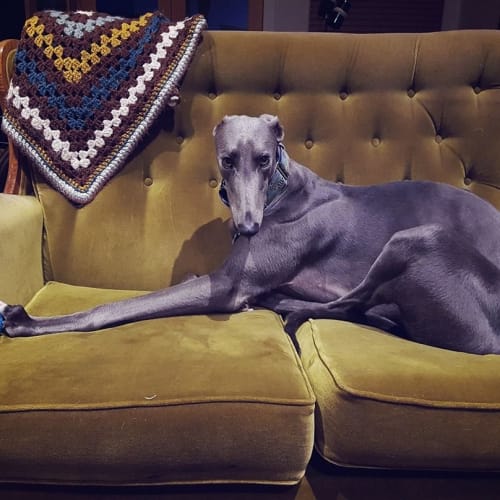 "Joe". Not Your Average. Melbourne