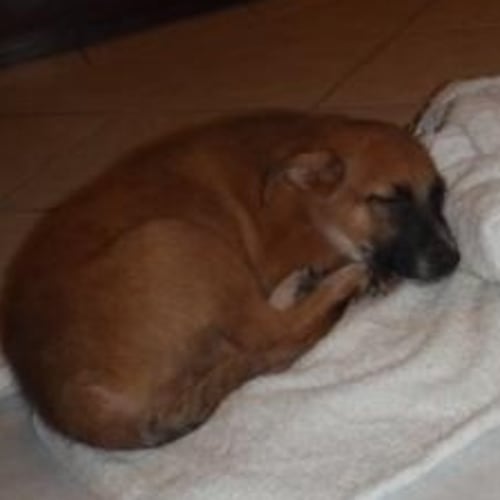 No photo for Preston(d1871)*Adopted*