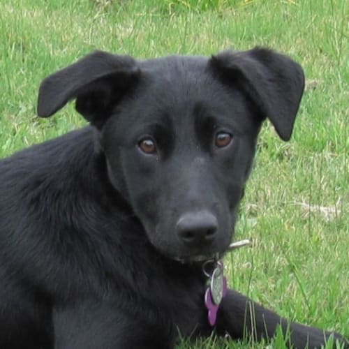 No photo for Maddie (No More Enquiries Please)