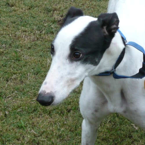 No photo for Lee Roy