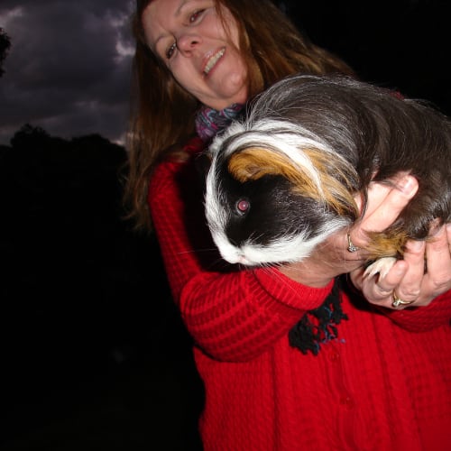 No photo for Piggy "Private Rehoming"