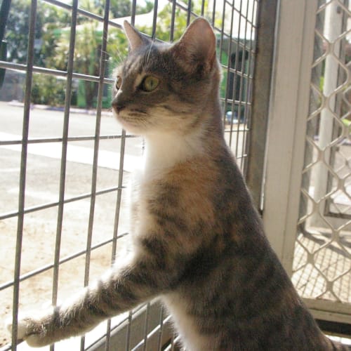 No photo for Possum(on Hold)