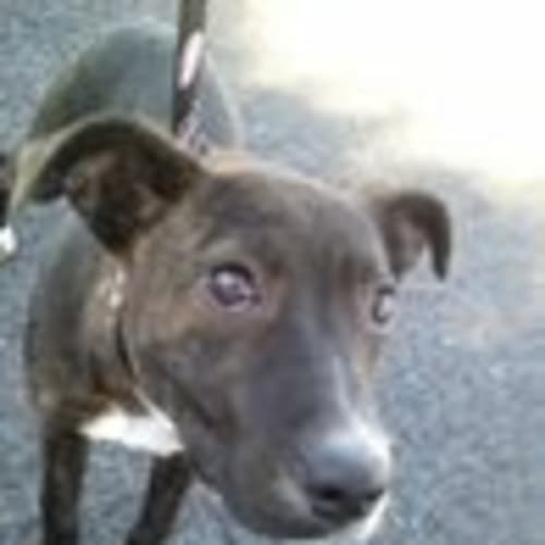 No photo for Beyonce   On Trial!