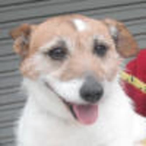 No photo for Jackie 708372