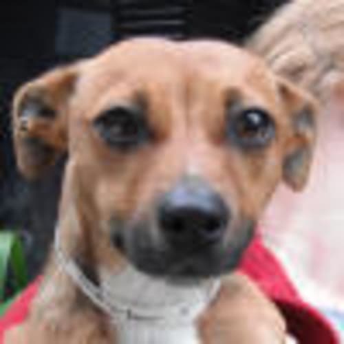 No photo for Milly 708454