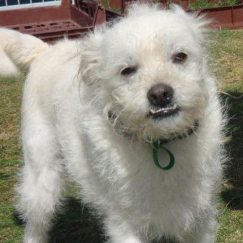 No photo for Charlie