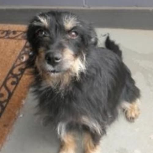 No photo for Bennie(d1890)*Adopted*