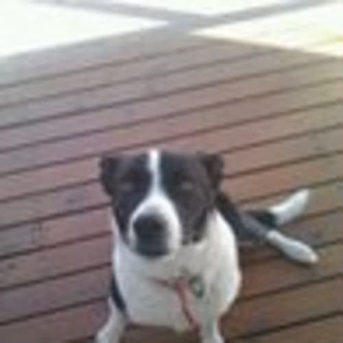 Ted. *Adoption Pending*
