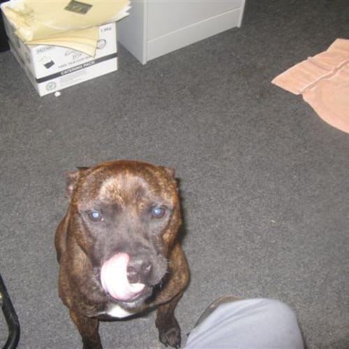 Tyson