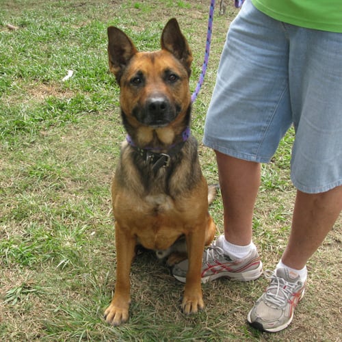 Tyson