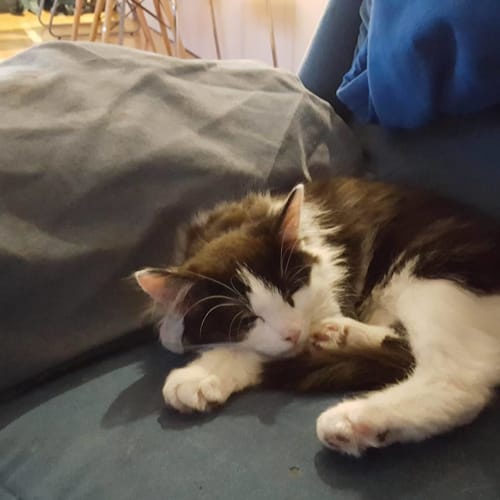 Emmanuel (Located in Mitcham)