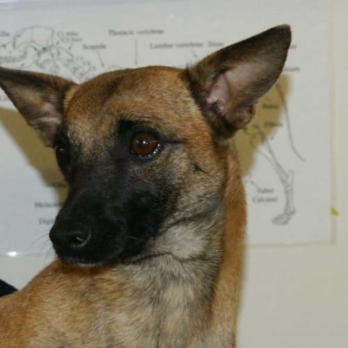 Keisha