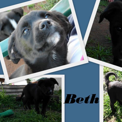 Adoption Pending Beth