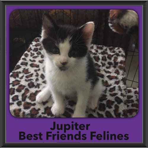 Jupiter