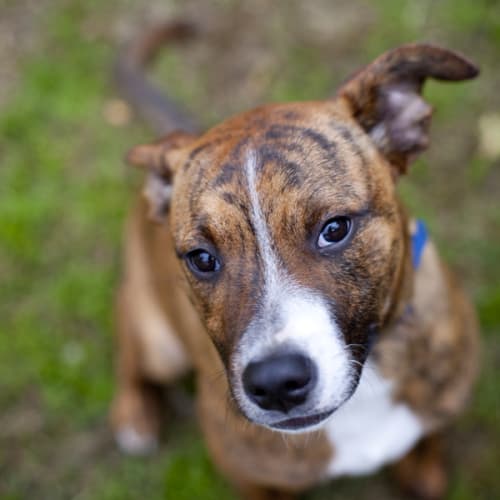 No photo for *On Trial* Terrence