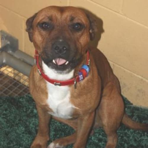 No photo for Rafferty