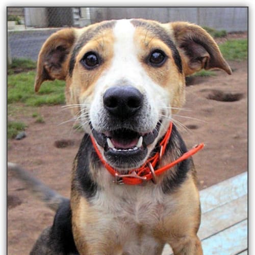 No photo for Montali