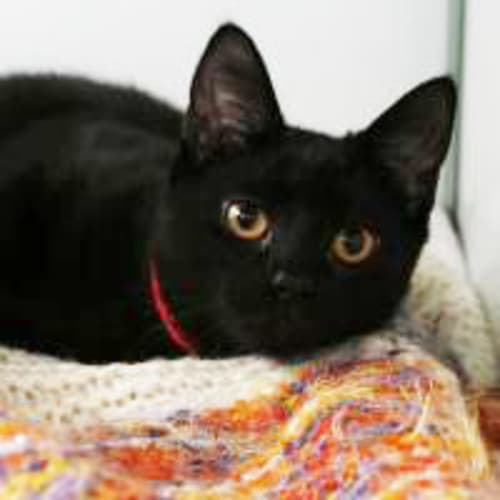 No photo for Charlene