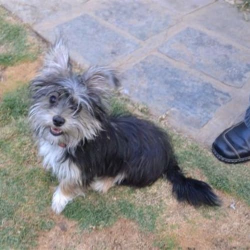 No photo for Faith *On Trial*