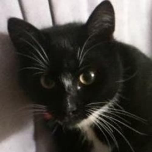 Sebastian