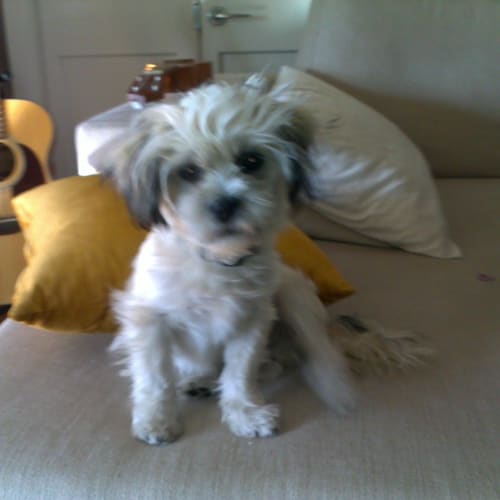 Benson