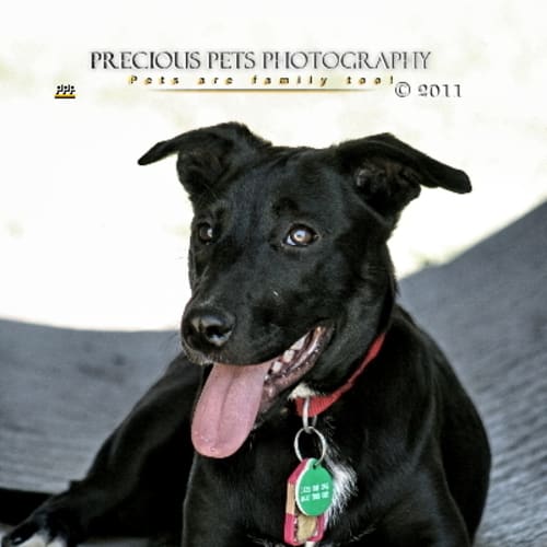 No photo for Darla   Save $100 In December