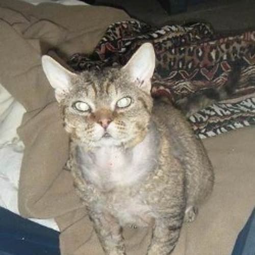 No photo for Ziggy & Oliver