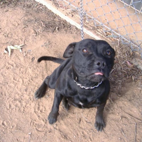 Lucy