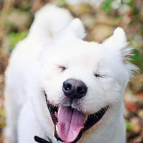 Kahn