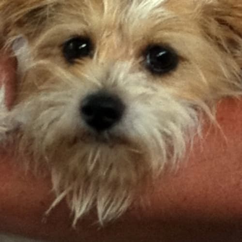 Simon Our Little Angel!